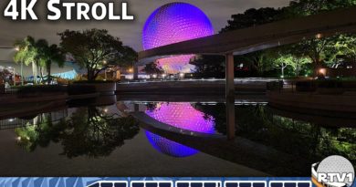 Relaxing Night Stroll - Peaceful Epcot Future World at Christmas