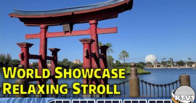 Relaxing Stroll - Epcot World Showcase - Festival of the Arts 2020