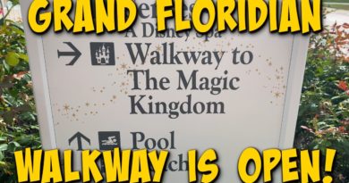 Disney's Grand Floridian Walkway to Magic Kingdom is Open!