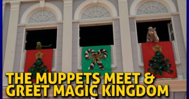 The Muppets Christmas Distancing Meet & Greet in Liberty Square