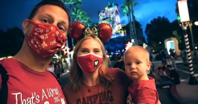 Disney's Hollywood Studios At Christmastime Can Turn Your Day Right Around!