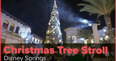 Santa’s Watercade and Christmas Tree Stroll