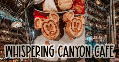 WHISPERING CANYON CAFE REVIEW & Wilderness Lodge Tour