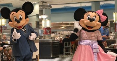 Hollywood & Vine Minnie's Silver Screen Dining Review - Searching For The New AP Merchandise!