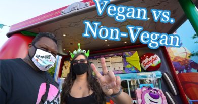 Woody's Lunch Box - Vegan & non-vegan food review