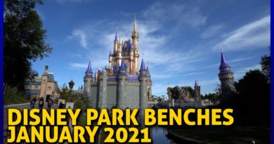 Relaxing at Magic Kingdom with Disney Park Benches