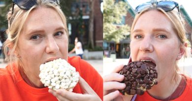 We Tried The Best Cookies In Disney Springs! Gideon's Bakehouse Opens