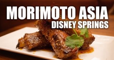 Dinner at Morimoto Asia in Disney Springs