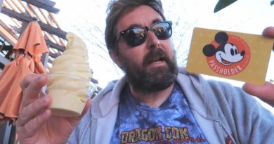 How I Renewed My Disney World Annual Pass & Had A Dole Whip at Polynesian With Friends To Celebrate