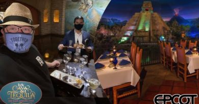 Epcot’s NEW Agave Experience at La Cava del Tequila & Dinner at San Angel Inn