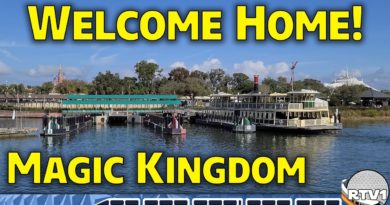 Welcome Home! Magic Kingdom Ferryboat Ride with Magical Soundtrack