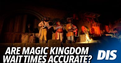 Are Wait Times at Magic Kingdom Accurate?