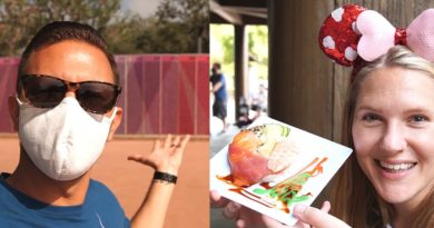 What's New At Disney's EPCOT & More Festival Fun!