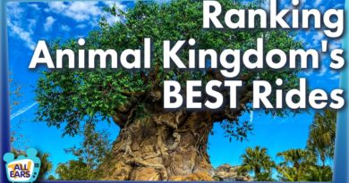 Ranking Animal Kingdom's BEST Rides