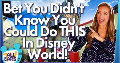 Bet You Didn't Know You Could Do THIS In Disney World!