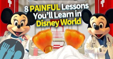 8 Painful Lessons You’ll Learn in Disney World