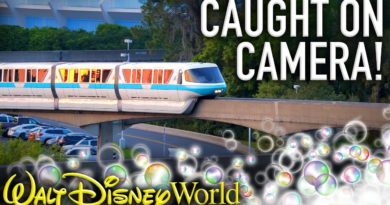 Disney Monorail TRACK CLEANING Caught on Camera!