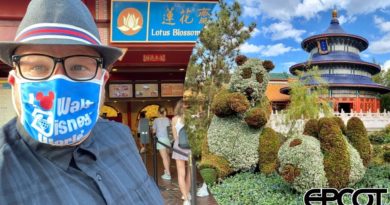 Epcot’s Lotus Blossom Cafe - Epcot Chinese FOOD 2021 & Where To Eat In Epcot’s World Showcase
