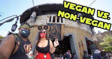 Ronto Roasters - New breakfast & lunch - Vegan & non-vegan food review
