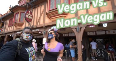 The Friar's Nook - Vegan & non-vegan food review