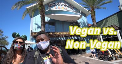 The Boathouse Brunch - Vegan & non-vegan food review