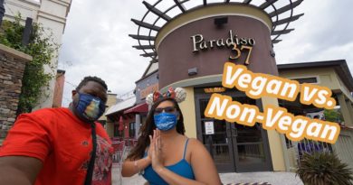 Paradiso 37 - Vegan & non-vegan food review vegan & non-vegan food review