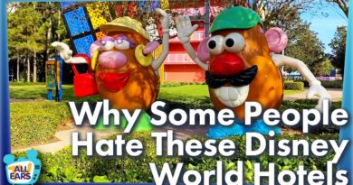 Why Some People Hate These Disney World Hotels