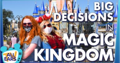 The Biggest Decision You'll Make In Magic Kingdom