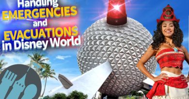 Handling Emergencies and Evacuations in Disney World