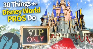 30 Things the Disney World Pros Do