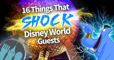 16 Little Things That SHOCK Disney World Guests