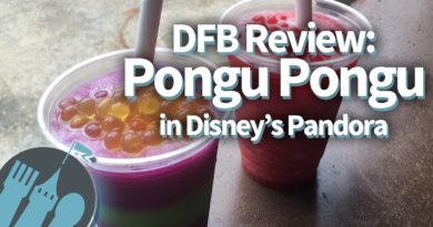Pongu Pongu in Disney World's Pandora