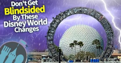 Don’t Get Blindsided by These Disney World Changes