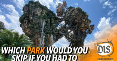Which Walt Disney World Park Would You Skip If You Had To Pick One?