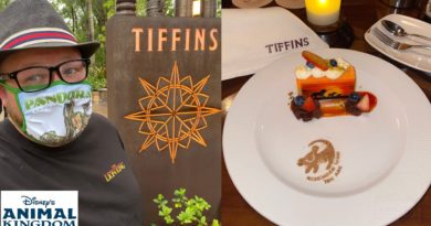 Animal Kingdom’s Tiffins Restaurant 2021 - The Lion King Dessert & BEST Coffee In Walt Disney World