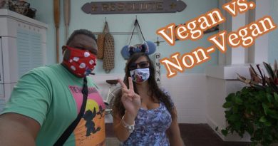 Olivia's Café - New Dinner Options - Vegan & non-vegan food review