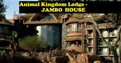 Staying at Jambo House - Dinner at Sanaa - Large Horned Animal fight!