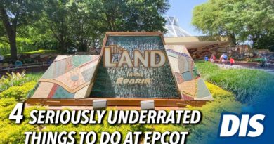 4 Seriously Underrated Things To Do at EPCOT