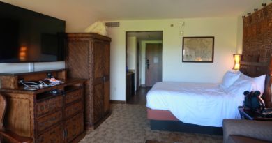 Disney World Staycation! Animal Kingdom Lodge Room & Jambo Tour