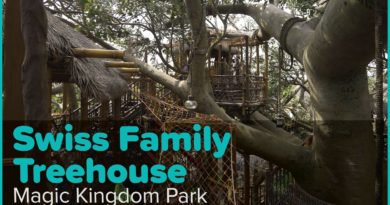 Explore the Swiss Family Treehouse