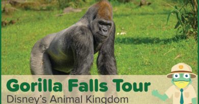 Gorilla Falls Exploration Trail