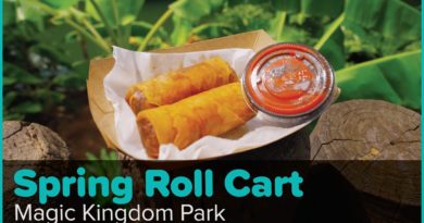 Adventureland’s Tasty Cheeseburger Spring Rolls