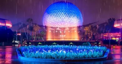 Rainy Day at Epcot Ambience