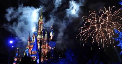Happily Ever After Fireworks - Magic Kingdom Day
